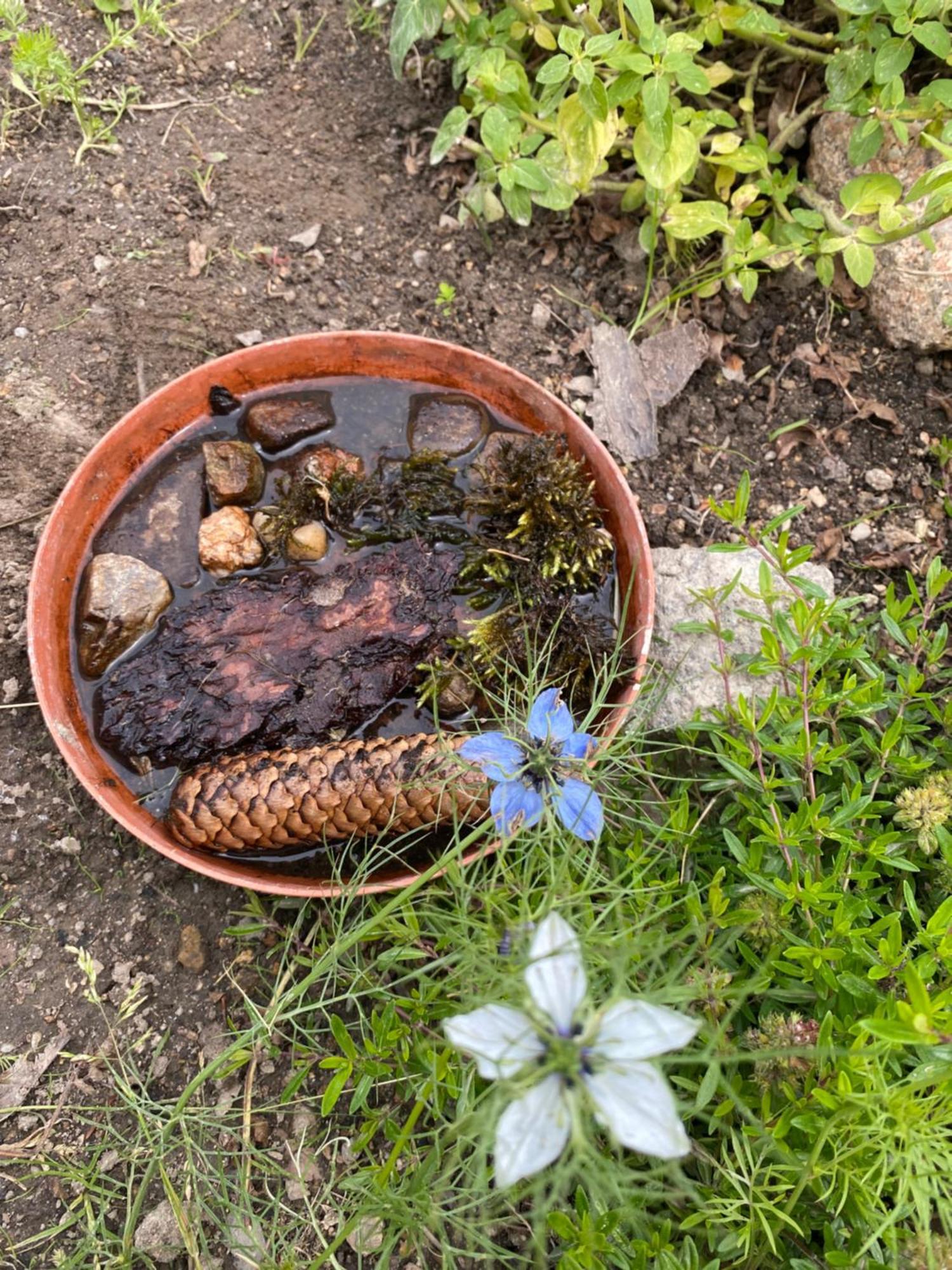 Domek Dzika Roza Szklarska Poręba Buitenkant foto